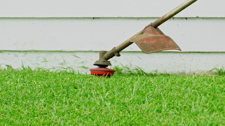 Best Tree Risk Assessment  in Glendora, NJ